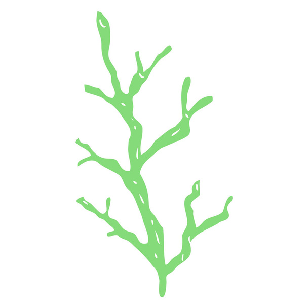 flat color illustration of seaweed - Vector, Image