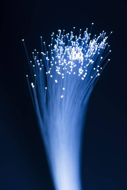 оптоволоконный сетевой кабель - Фото, изображение
