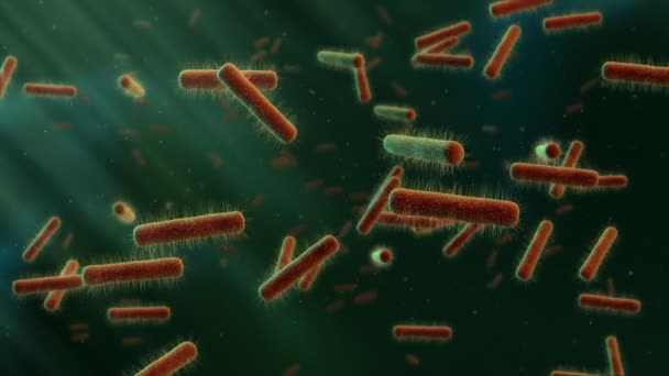 video-ból úszó háttér baktériumok - Felvétel, videó