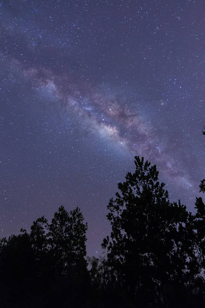 驚くべき美しい夜空の天の川銀河、サバ州、ボルネオ (穀物と長時間露光の写真。特定の穀物やノイズとソフト フォーカス画像が含まれて.) - 写真・画像