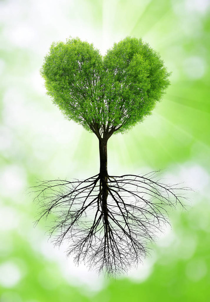 Árbol verde en forma de corazón con raíces
. - Foto, Imagen