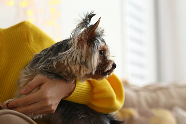 Woman with cute dog at home - Фото, зображення