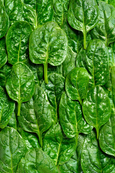 Фон зеленого листя шпинату з краплями води
 - Фото, зображення