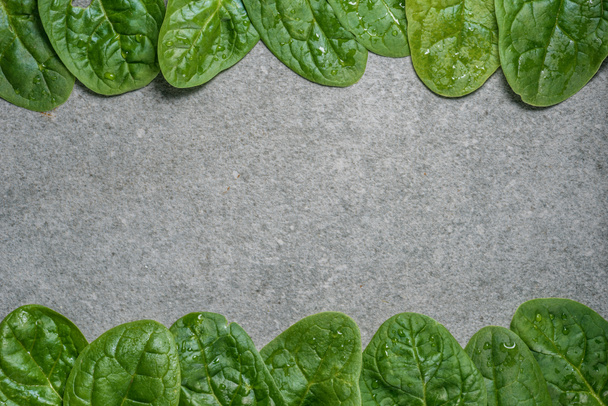 Frame of green and wet spinach leaves on grey background - Photo, image