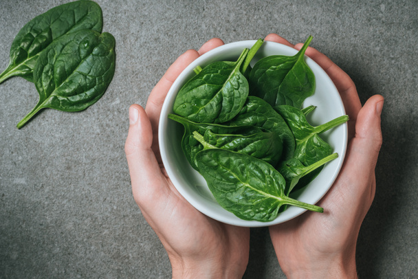 Top view of male hands holding spinach leaves in bowl  - Photo, Image