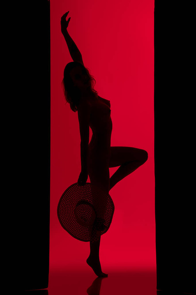 Girl dark profile silhouette shot against red wall - Фото, зображення