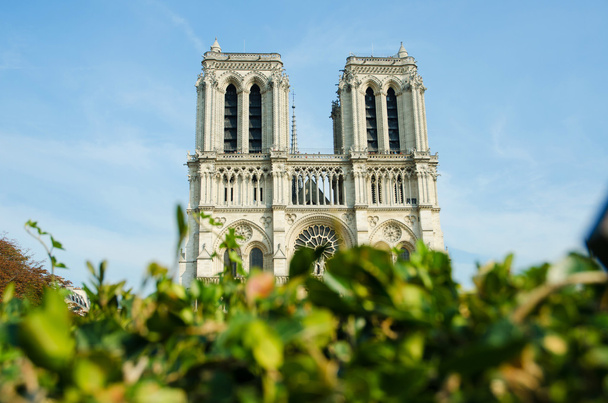 Cattedrale di Notre Dame de Paris nel giorno d'estate
 - Foto, immagini