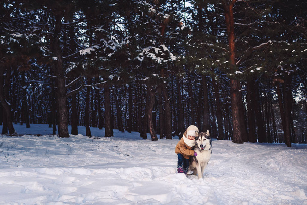 Αστεία κοριτσάκι που αγκαλιάζει το μεγάλο σκύλο Malamute το χειμώνα στο δάσος. - Φωτογραφία, εικόνα