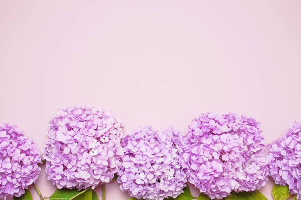 Λιλά ροζ λουλούδι Ορτανσία σε παστέλ ροζ φόντο επίπεδη θέσει. Μητέρες ημέρα, γενέθλια, ημέρα του Αγίου Βαλεντίνου, ημέρα γυναικών, γιορτή έννοια. Το Top view Floral φόντο. - Φωτογραφία, εικόνα