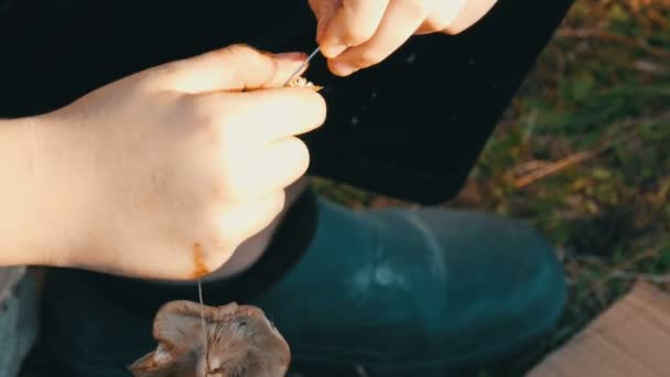 Руки подростка нанизывают грибы на веревку, чтобы высохнуть. Осенний сбор грибов
 - Кадры, видео