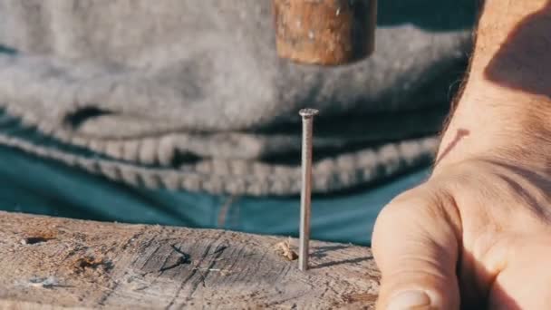 Nahaufnahme eines männlichen Zimmermanns hämmert eisernen Nagel in eine Holzplanke - Filmmaterial, Video