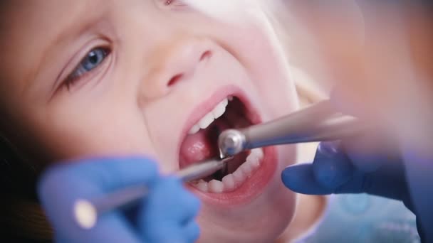 Diş Hekimliği. Diş hekimi resepsiyonda. Küçük bebek diş parlatma kadın diş hekimi. Yakın çekim - Video, Çekim