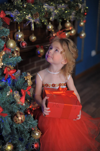 cute little girl at the Christmas tree in a red elegant dress with a box with gifts in her hands - Foto, immagini