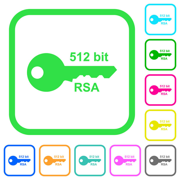 512 bit rsa Verschlüsselung lebhafte farbige flache Symbole in gebogenen Rändern auf weißem Hintergrund - Vektor, Bild