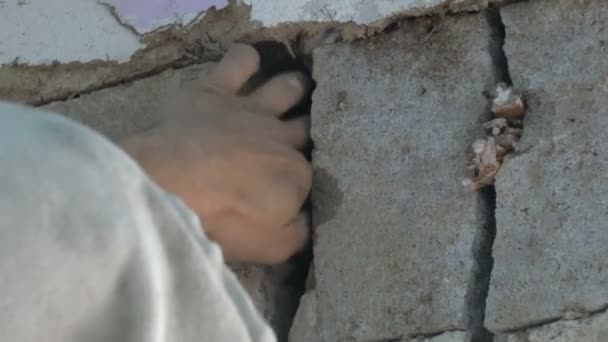 Constructor masculino cubre gran agujero en una pared de hormigón
 - Imágenes, Vídeo