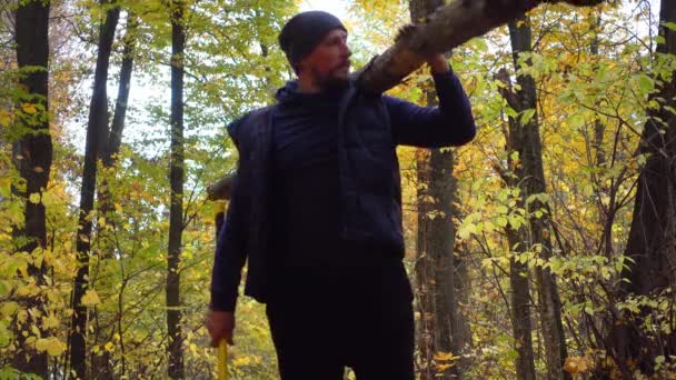 Bearded man in the autumn in the woods with an ax. Portrait of a man with an ax and a log in the forest.  - Video
