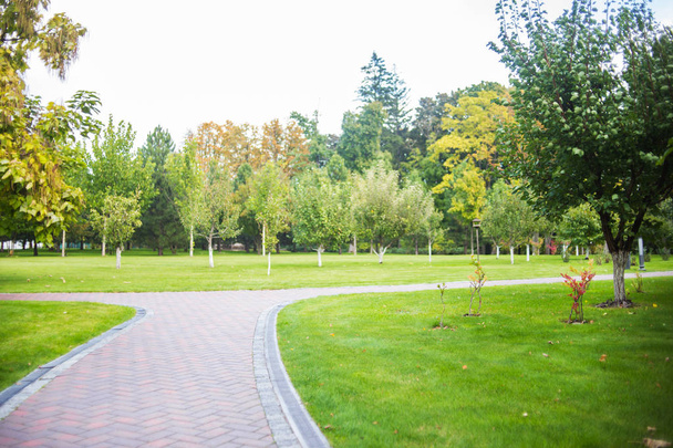 green lawn, and beautiful footpath in city park - Photo, Image