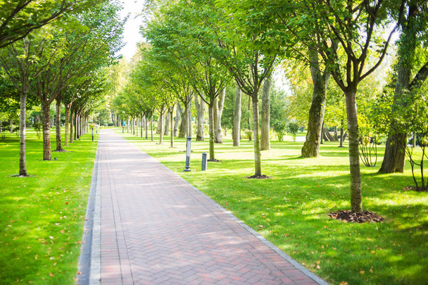 green lawn, and beautiful footpath in city park - Фото, изображение