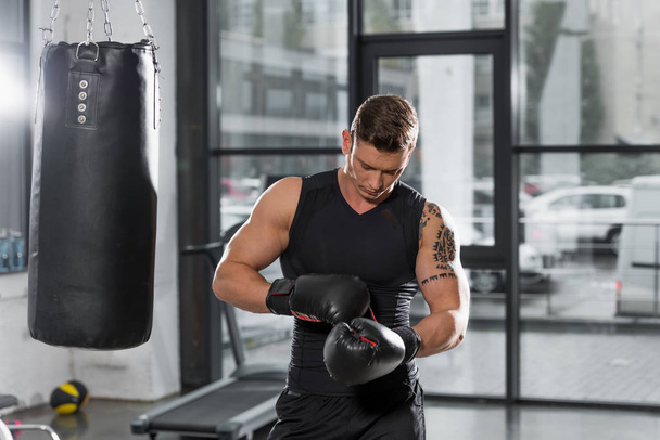 handsome muscular boxer wearing boxing gloves in gym - Foto, immagini