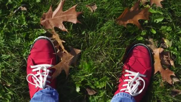 Herren rote Turnschuhe auf dem Hintergrund von Gras und gelben Herbstblättern. - Filmmaterial, Video