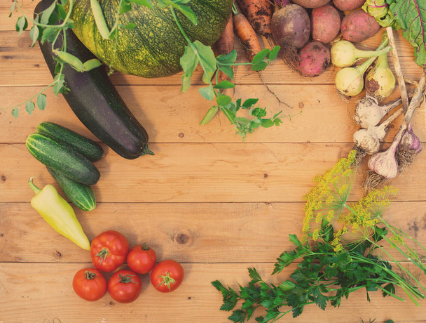 Harvest of fresh vegetables on wooden background. Top view. Potatoes, carrot, squash, peas, tomatoes, greens, beets, zucchini, tomatoes, peppers, onion, garlic, cucumber, dill. - Photo, image