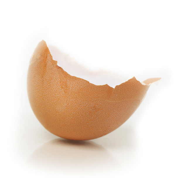Broken egg shell isolated - Photo, Image