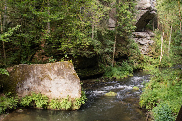 Bohemian Switzerland National Park. Landscape with mountain river with many rocks and pines. Czech Switzerland forest. - Zdjęcie, obraz