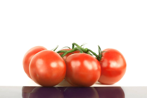 tomatoes on a branch .isolated white background - Photo, image