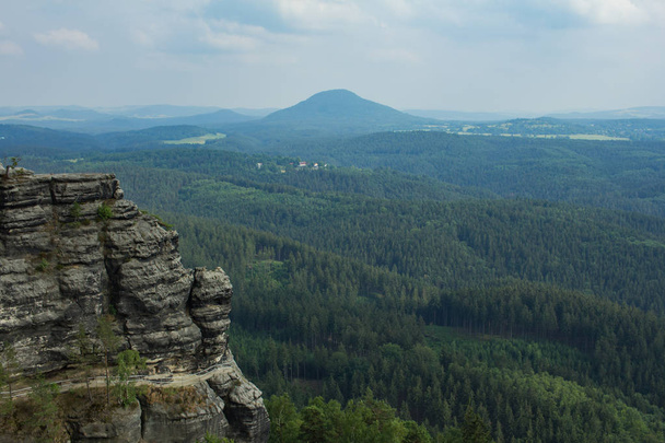 Landscape in mountains in Czech Switzerland national park, pine forest and rocks  - Fotó, kép