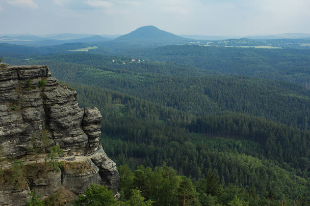 Landscape in mountains in Czech Switzerland national park, pine forest and rocks  - Photo, image