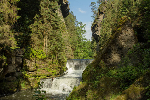 Bohemian Switzerland National Park. Landscape with mountain river with many rocks and pines. Czech Switzerland forest. - Zdjęcie, obraz
