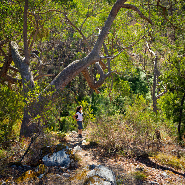Hiking Woman - Фото, изображение