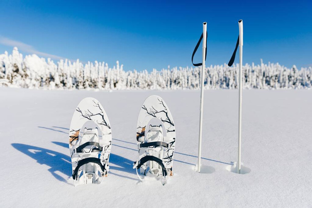 Wit sneeuwschoenen met trekking palen in de sneeuw op de winter forest en besneeuwde achtergrond. Sneeuwschoenwandelen in Lapland Finland. - Foto, afbeelding