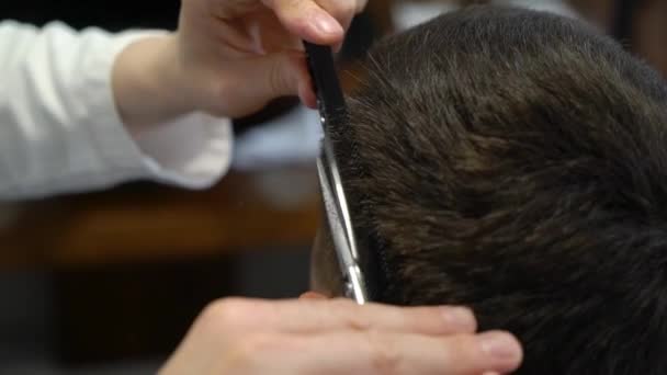 Mann lässt sich vom Friseur die Haare schneiden - Filmmaterial, Video