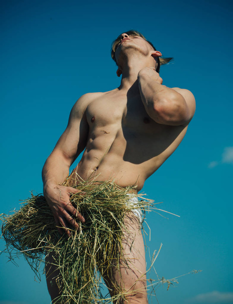 Muscular and athletic. Man relax on summer day. Naked guy with sexy body covering by hay. Sexy man with muscular body. Muscular man with six pack abs. Man of muscle. Summer heat - Photo, Image