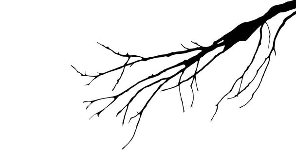 Vector silhouette of tree on white background. - Vector, Image