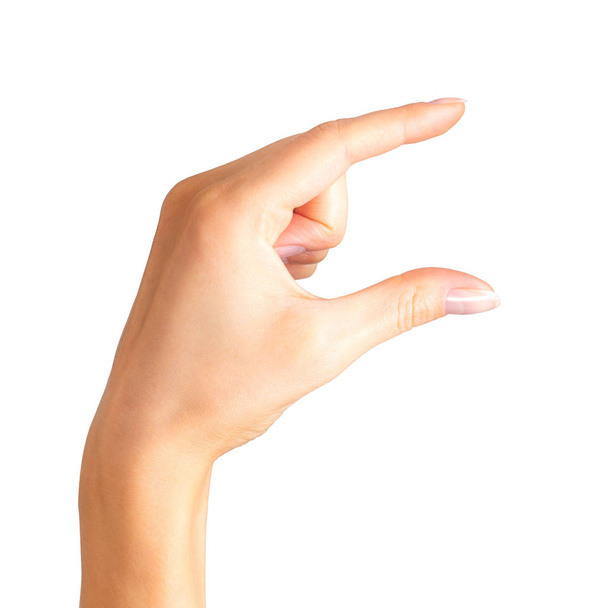 Женщина рука показывает поднимая позу или держа
 - Фото, изображение
