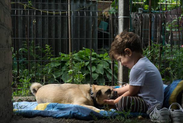 Αγοράκι αγκαλιάζει τον σκύλο στον κήπο. Παιδί και σκυλάκι βρίσκονται μαζί στο γρασίδι. Είναι φίλοι.  - Φωτογραφία, εικόνα