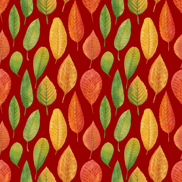 Hand-drawn autumn foliage. Watercolor and pencils. Seamless pattern autumn leaves lovely print for wrapping paper, postcard, fabric, background. - Foto, afbeelding
