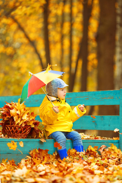 Malý chlapec na pozadí podzimu. park s duhovým deštníkem v ruce. Dítě s javorovým listem. Podzimní scéna. - Fotografie, Obrázek