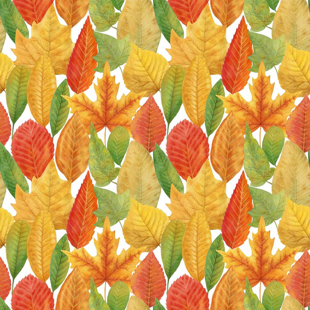 Hand-drawn autumn foliage. Watercolor and pencils. Seamless pattern autumn leaves lovely print for wrapping paper, postcard, fabric, background. - Zdjęcie, obraz