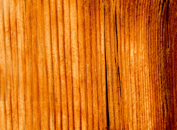 Drewniane tła dla witryny - Zdjęcie, obraz