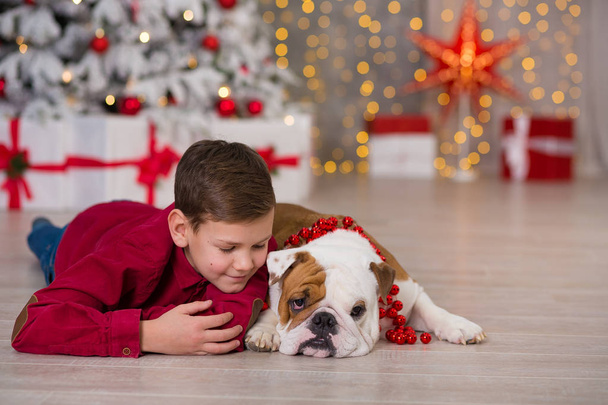 Christmas Holidays. handsome boy enjoy life time with his friend english bulldog close to new year tree with plenty presents around.Magic Christmas - Photo, image