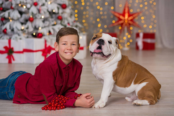 Christmas Holidays. handsome boy enjoy life time with his friend english bulldog close to new year tree with plenty presents around.Magic Christmas - Foto, Imagen