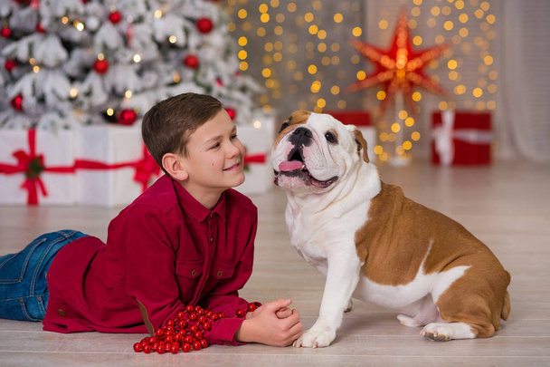 Férias de Natal. menino bonito desfrutar de tempo de vida com seu amigo bulldog inglês perto da árvore de ano novo com muitos presentes around.Magic Natal
 - Foto, Imagem