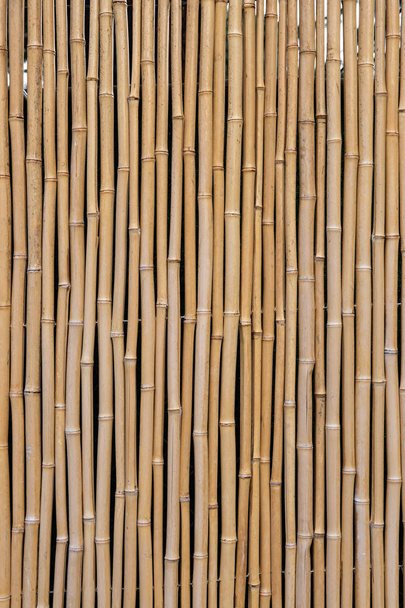 Grouping of vertical bamboo pattern forming a fence backdrop or background. - Photo, Image