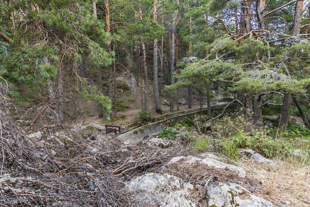 Πεύκης δασών και των υδάτινων καναλιών με την πύλη σε μια θέση που ονομάζεται La Barranca με το Sierra de Guadarrama. Μαδρίτη Ισπανία - Φωτογραφία, εικόνα