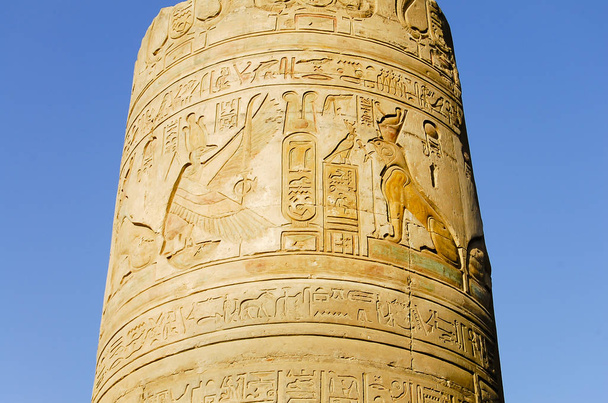 Temple of Kom Ombo Kolumni - Egypti
 - Valokuva, kuva