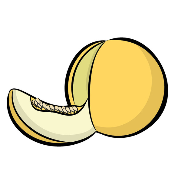 Ripe melon fruit icon vector - Вектор, зображення