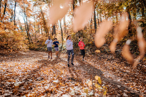 Организованная небольшая группа людей, бегущих в лесу осенью
. - Фото, изображение